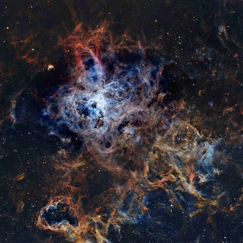 NGC 2070 The Tarantula Nebula Sky Telescope Sky Telescope