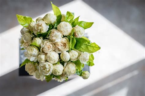 Photos Of White Jasmine Bouquet From Above And Shadowed Background From