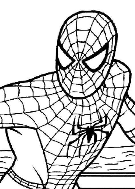 Planse De Colorat Cu Spiderman Images And Photos Finder Images And