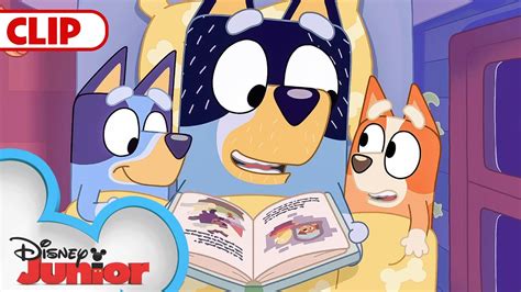 Bluey Season 1 Episode 8 Fruit Bat Episode Clip Disneyjr