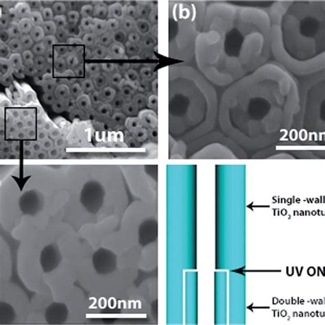 Fesem Images A C Of The As Anodized Tio 2 Nanotubes Showing The Download Scientific Diagram