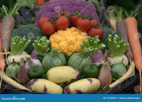 healthy vegetables selection stock image image  country green