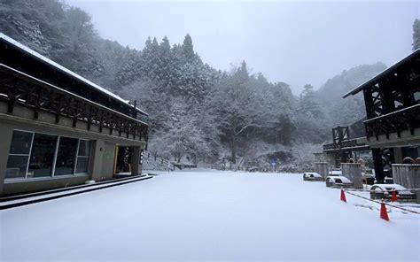 雪が降りました 東京都檜原都民の森