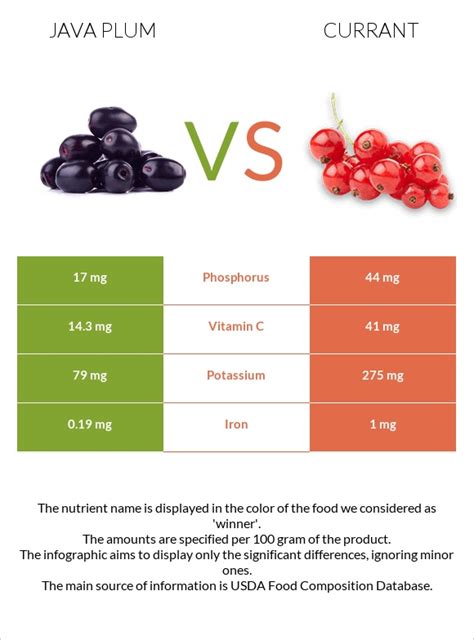 Java Plum Vs Currant — In Depth Nutrition Comparison