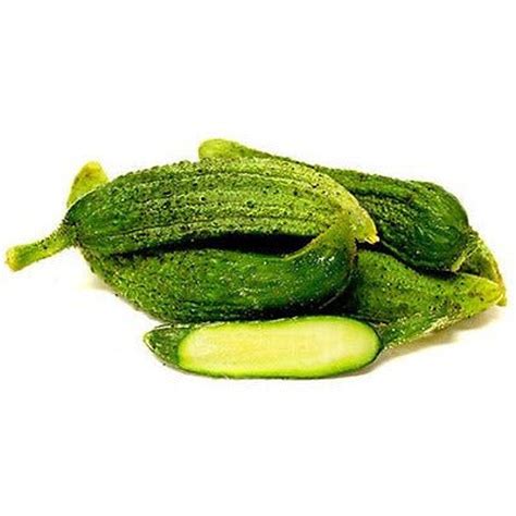 Parisian Pickling Cucumber Seeds Etsy