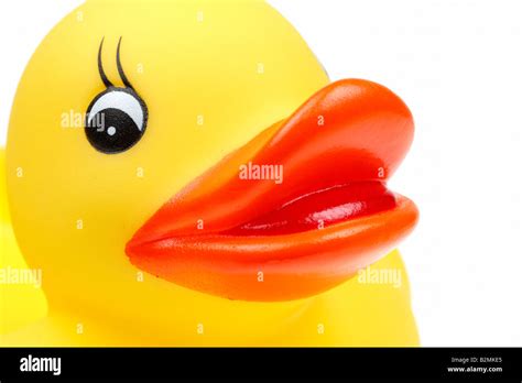 small yellow plastic duck isolated on a white background Stock Photo ...