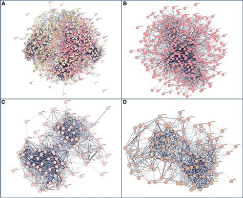 Frontiers Sex Difference Contributes To Phenotypic Diversity In