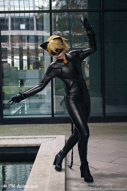Fm Anime Miraculous Tales Of Ladybug Cat Noir Adrien Agreste Cat