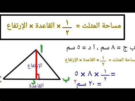 مساحة المثلث - YouTube