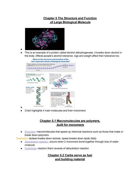 Chapter 5 Macromolecules Chapter 5 The Structure And Function Of Large Biological Molecule