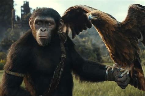 Planeta Dos Macacos O Reinado Veja Sinopse Trailer E Data De Estreia