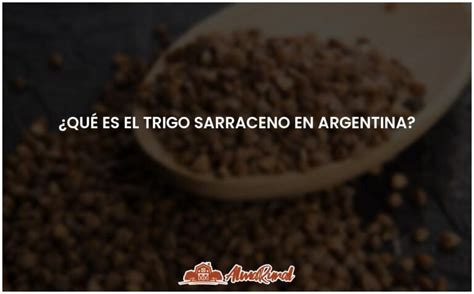 Trigo Sarraceno En Argentina Todo Lo Que Debes Saber ALMARURAL