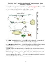 Tutorial Seminar Assignment V Pdf Pdf Mcb Tutorial