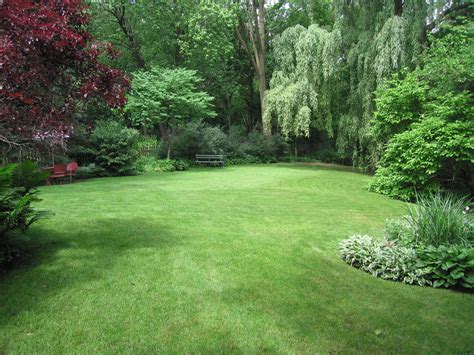 10 Large Yard Landscaping Ideas On A Budget