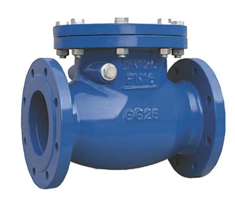 Din F Threaded Ductile Iron Swing Check Valve Bestsuppliers