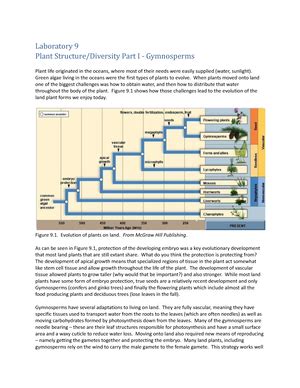 Biol Lab Plant Structure Diversity Part Angiosperms