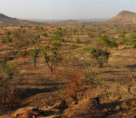 Présentation De La Région Des Savanes Togo Politique