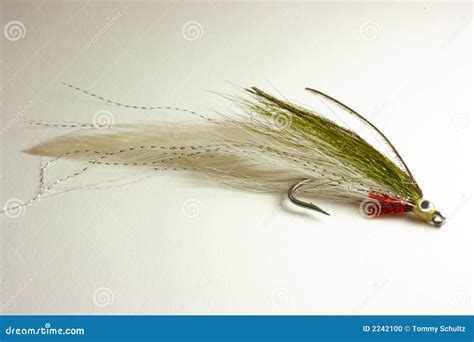 Trout Lure For Fly Fishing Stock Photo - Image: 2242100