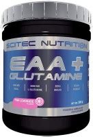 Scitec Nutrition EAA Plus Glutamine 300 G Buy Complex Amino Acid