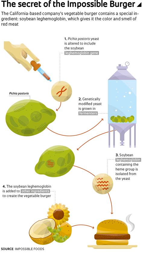 Lab-grown beef : Revista Pesquisa Fapesp