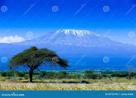 Kilimanjaro stock image. Image of frog, birds, landscape - 49735703