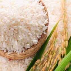 Top Non Basmati Rice Manufacturers In India Non Basmati Rice Suppliers