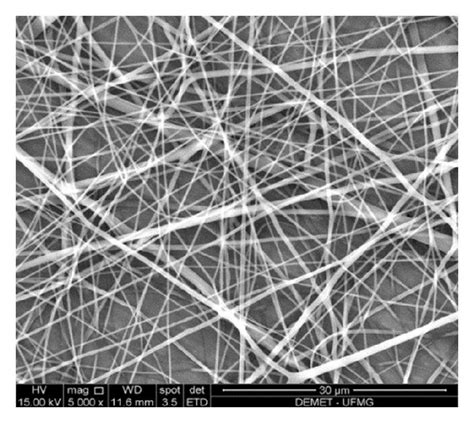 Sem Images Morphology Of Electrospun Pcl Nanofibers A And Biog Pcl