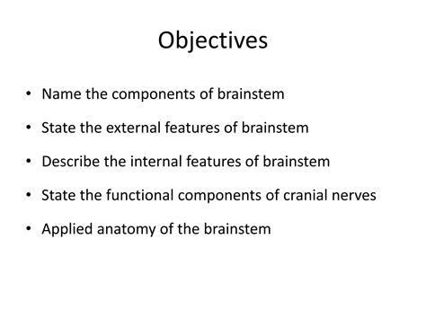 SOLUTION 5a Brainstem And Cranial Nerves Studypool