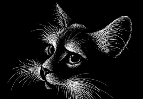 9 Best Scratch Art For Adults The Creative Folk