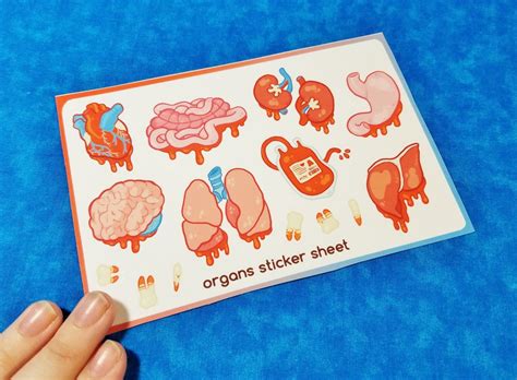 Organs Sticker Sheets Etsy