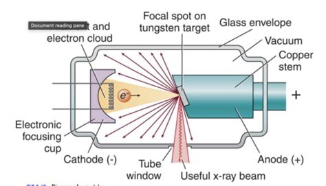 Radiology Exam Identifying Glass Tube And Tube Head Flashcards Quizlet