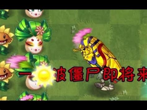 Plants Vs Zombies China Version New Upcoming Plant Geisha Flower