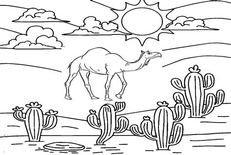 Pagine Da Colorare Di Cammelli Coloringpagesonly