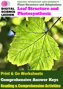 Leaf Structure And Photosynthesis Plants By Digital Science Lesson