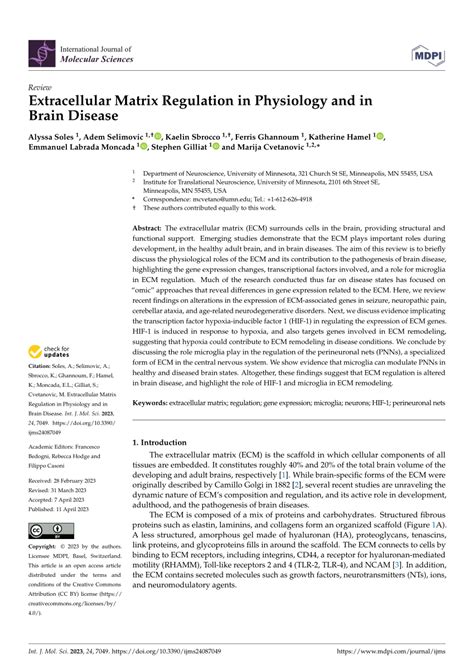 Pdf Extracellular Matrix Regulation In Physiology And In Brain Disease