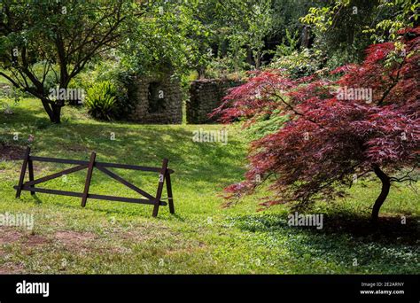 The Gardens Of Ninfa The Abandoned Town Cisterna Di Latina Lazio Italy Europe Italy Stock