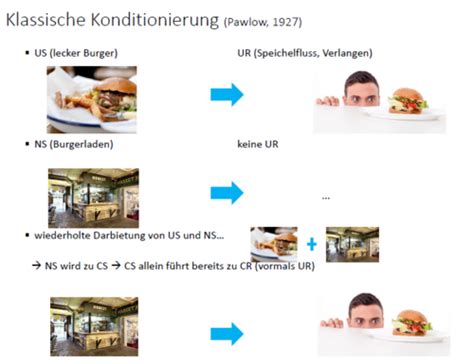 Lerntheorien Und Kognitive Modelle Karteikarten Quizlet