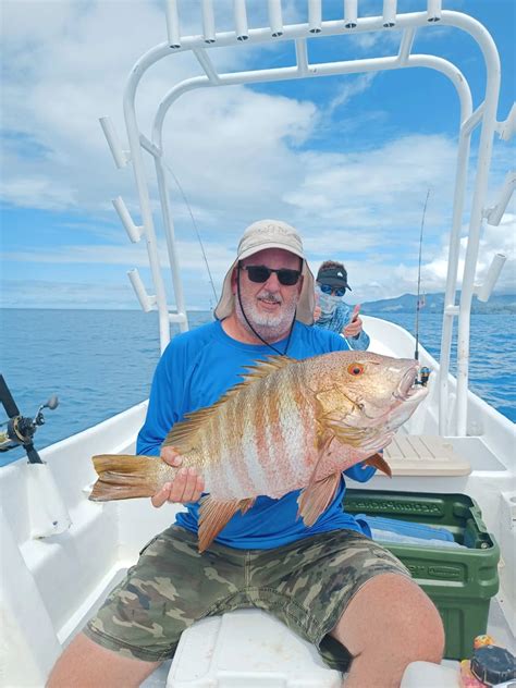 Capturas Panamá Pez Pargo Roquero