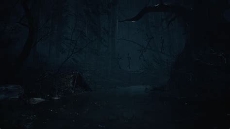 Forest Video Game Blair Witch Blair Witch Video Game HD Wallpaper