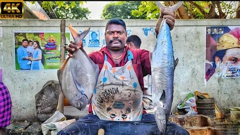 KASIMEDU SPEED SELVAM GIANT POMFRET FISH CUTTING VIDEO 4K VIDEO