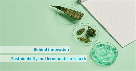 Sustainability And Biomimetic Research ROELMI HPC