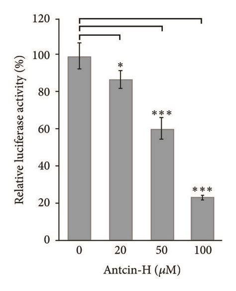 Inhibition of c Fos and C EBP β activities involved in Download