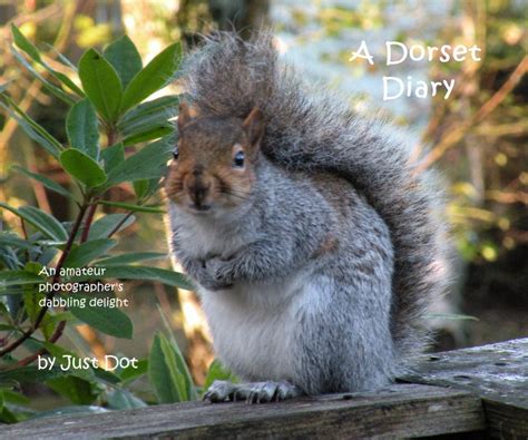 A Dorset Diary By Just Dot Blurb Books