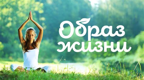 Разработка концепции новой СТМ Магнит Образ жизни