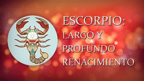 Escorpio Largo Y Profundo Renacimiento Tar Scopo Semanal Ta Semana