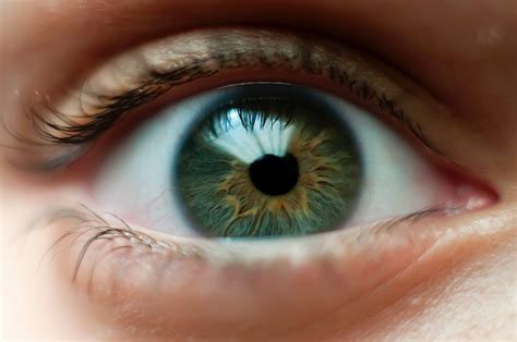 6 Interesting Facts About Human Eyes Industry Buzz