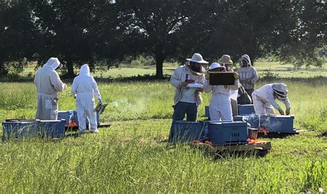 Texas Beekeeping 101