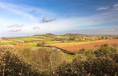 Irish Bioeconomy Demonstration Initiative Announced Bioenergy