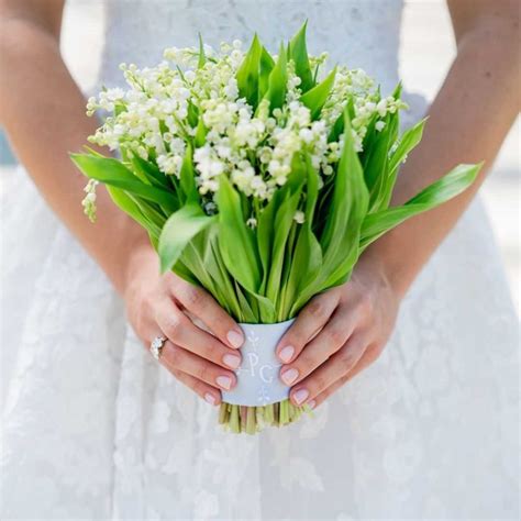 Lily Of The Valley Meaning Discover The Symbols And The History Behind It