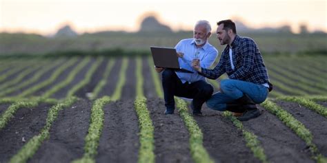 Ações do agronegócio as melhores para investir em 2022